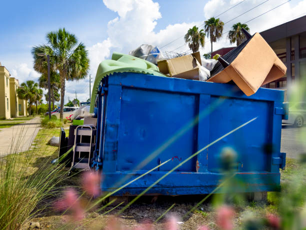 Best Dumpster Rental Services  in Lomita, CA